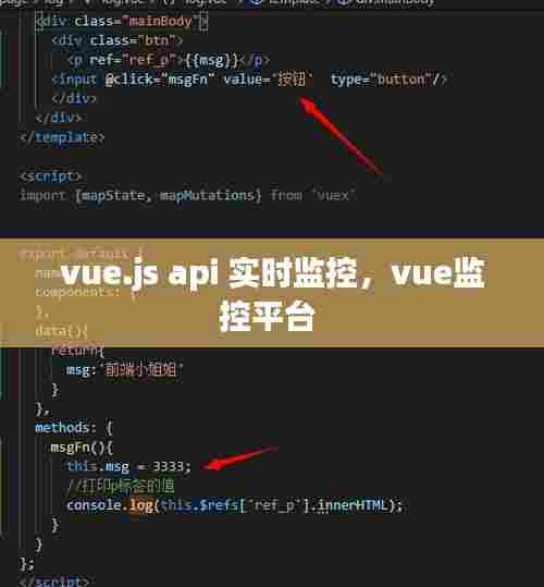 vue.js api 实时监控,vue监控平台