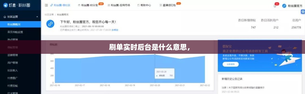 刷单实时后台是什么意思,