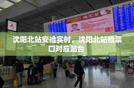 沈阳北站安检实时,沈阳北站检票口对应站台