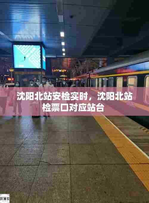 沈阳北站安检实时,沈阳北站检票口对应站台