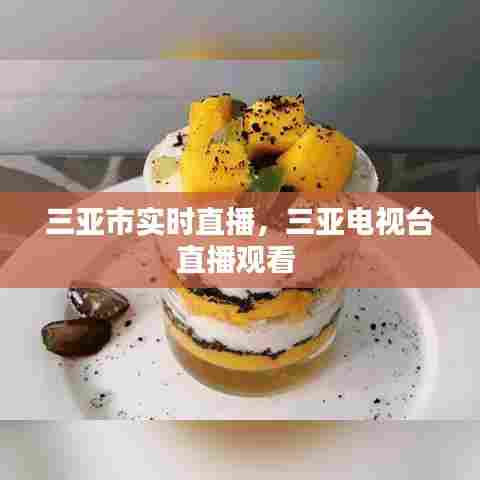 三亚市实时直播,三亚电视台直播观看