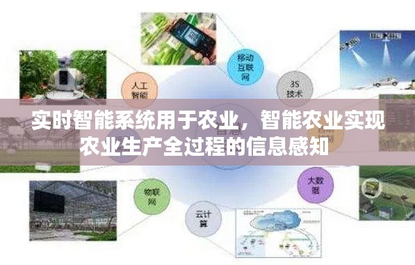 实时智能系统用于农业,智能农业实现农业生产全过程的信息感知