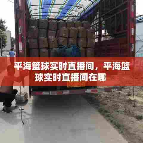 平海篮球实时直播间，平海篮球实时直播间在哪 