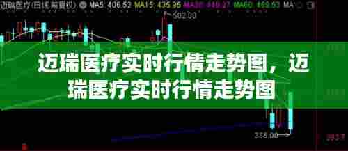 迈瑞医疗实时行情走势图，迈瑞医疗实时行情走势图 