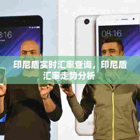 印尼盾实时汇率查询,印尼盾汇率走势分析