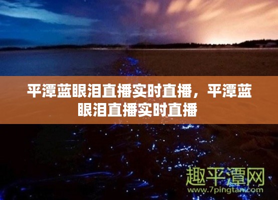 平潭蓝眼泪直播实时直播,平潭蓝眼泪直播实时直播