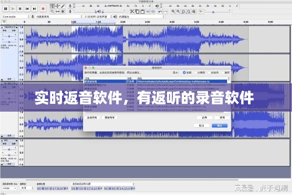实时返音软件，有返听的录音软件 