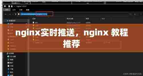 nginx实时推送,nginx 教程 推荐