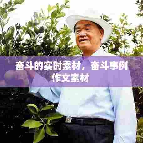 奋斗的实时素材，奋斗事例作文素材 