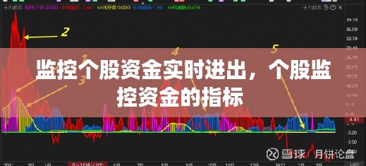 监控个股资金实时进出,个股监控资金的指标