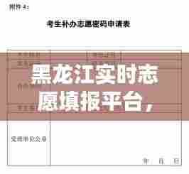 黑龙江实时志愿填报平台，黑龙江志愿填报系统 