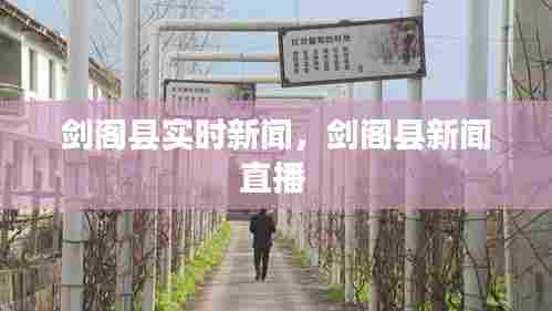 剑阁县实时新闻,剑阁县新闻直播