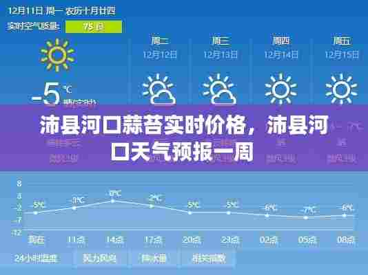 沛县河口蒜苔实时价格，沛县河口天气预报一周 