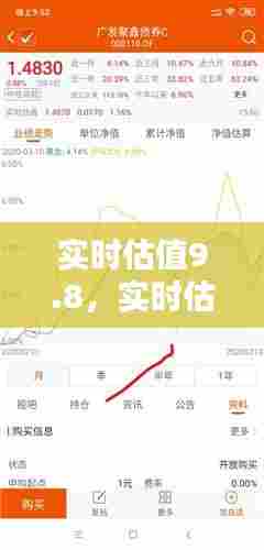 实时估值9.8，实时估值和最新净值 