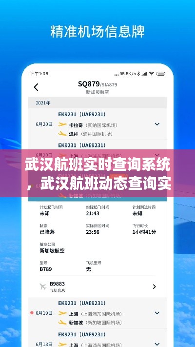 武汉航班实时查询系统,武汉航班动态查询实时跟踪