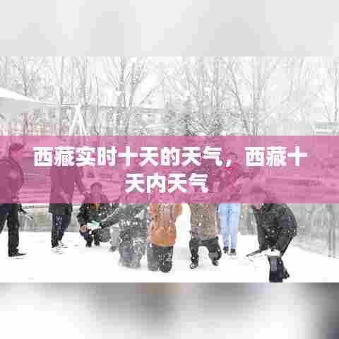 西藏实时十天的天气，西藏十天内天气 