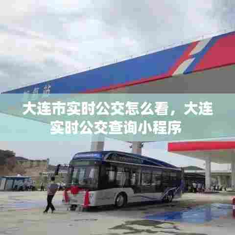 大连市实时公交怎么看，大连实时公交查询小程序 