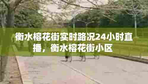 衡水榕花街实时路况24小时直播，衡水榕花街小区 