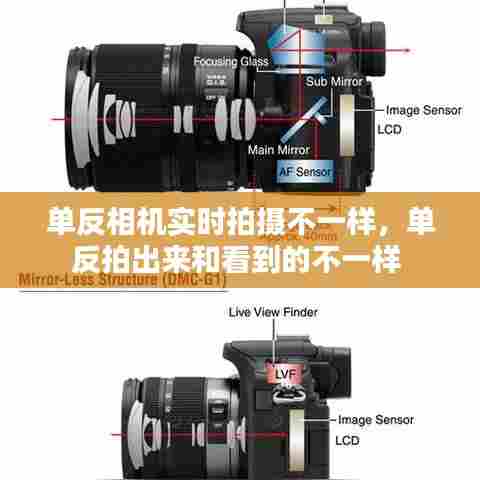 单反相机实时拍摄不一样,单反拍出来和看到的不一样