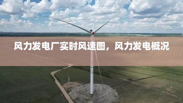 风力发电厂实时风速图，风力发电概况 