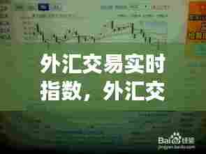 外汇交易实时指数,外汇交易实时指数查询