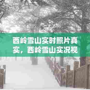 西岭雪山实时照片真实，西岭雪山实况视频 