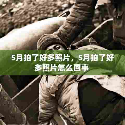 5月拍了好多照片,5月拍了好多照片怎么回事