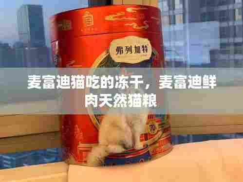麦富迪猫吃的冻干，麦富迪鲜肉天然猫粮 