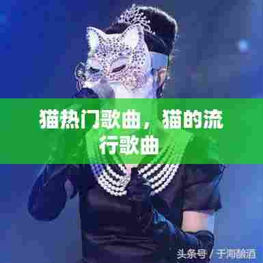 猫热门歌曲，猫的流行歌曲 