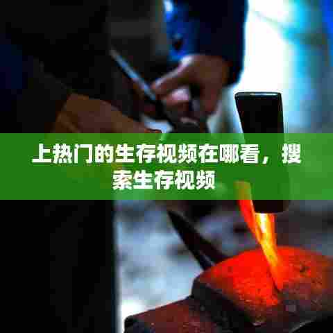 上热门的生存视频在哪看，搜索生存视频 