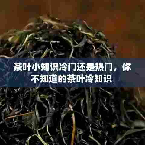 茶叶小知识冷门还是热门，你不知道的茶叶冷知识 
