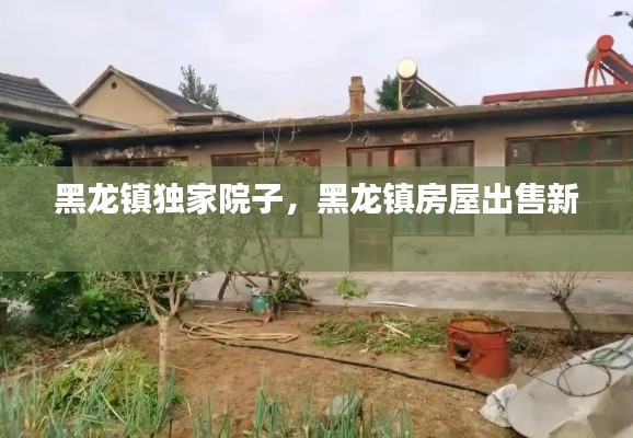 黑龙镇独家院子，黑龙镇房屋出售新 