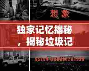 独家记忆揭秘，揭秘垃圾记忆背后的真相