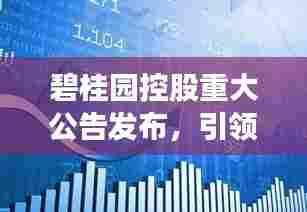碧桂园控股重大公告发布，引领行业新动向揭秘