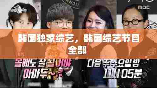 韩国独家综艺,韩国综艺节目全部