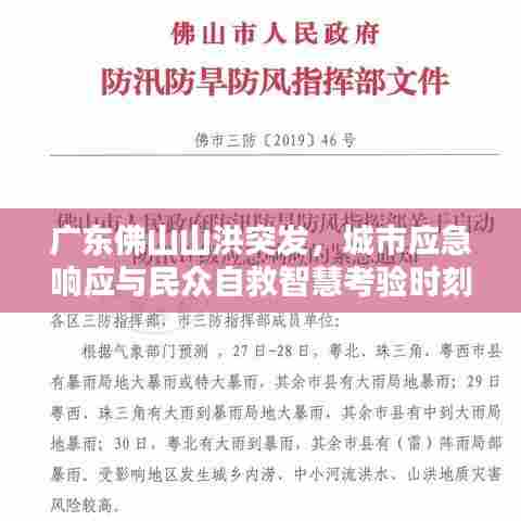 广东佛山山洪突发,城市应急响应与民众自救智慧考验时刻