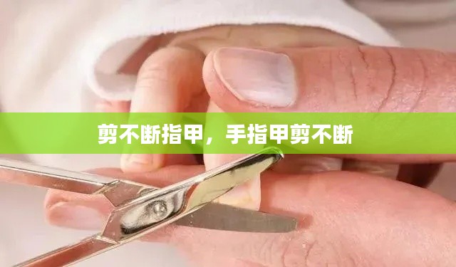 剪不断指甲，手指甲剪不断 