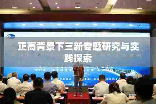 正高背景下三新专题研究与实践探索