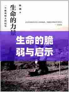 生命的脆弱与启示，身边人的疾病离世引发深思