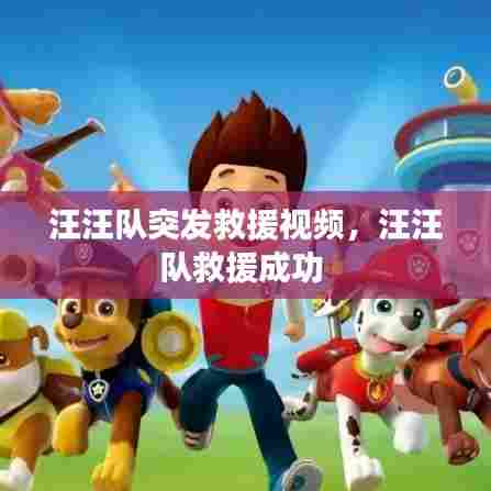 汪汪队突发救援视频，汪汪队救援成功 