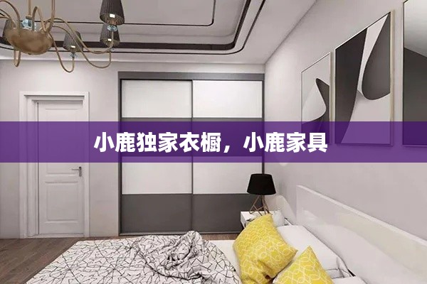 小鹿独家衣橱，小鹿家具 