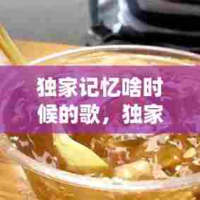 独家记忆啥时候的歌，独家记忆歌曲发布时间 