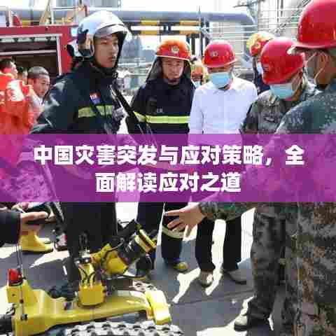 中国灾害突发与应对策略，全面解读应对之道