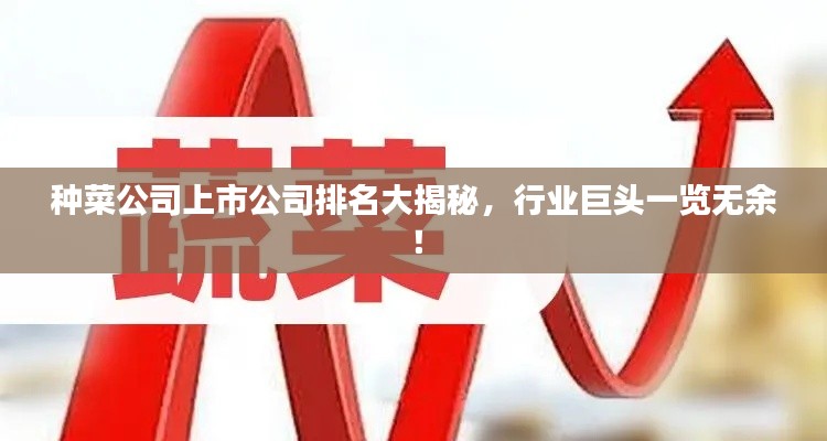 张王李赵 第5页