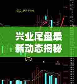 兴业尾盘最新动态揭秘，今日消息一览