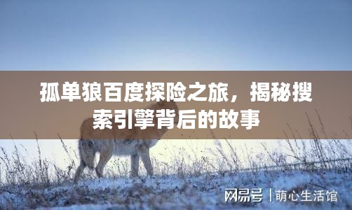 孤单狼百度探险之旅，揭秘搜索引擎背后的故事