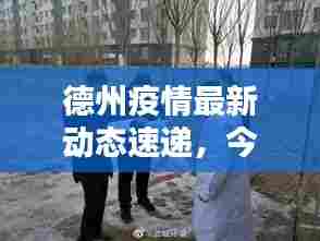 德州疫情最新动态速递，今日头条全面报道
