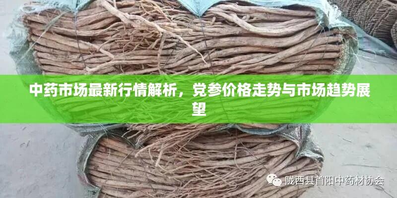 中药市场最新行情解析,党参价格走势与市场趋势展望