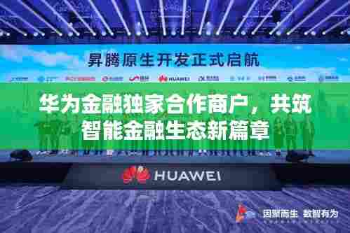 华为金融独家合作商户，共筑智能金融生态新篇章