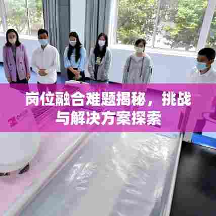 岗位融合难题揭秘，挑战与解决方案探索
